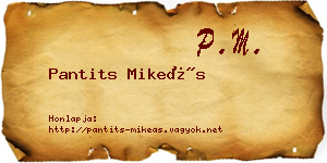 Pantits Mikeás névjegykártya